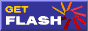 Get flash