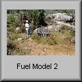 bm2-pht.jpg - 5.2 K